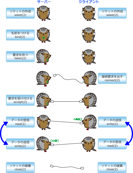 TCP/IPプログラムの基本的な流れ